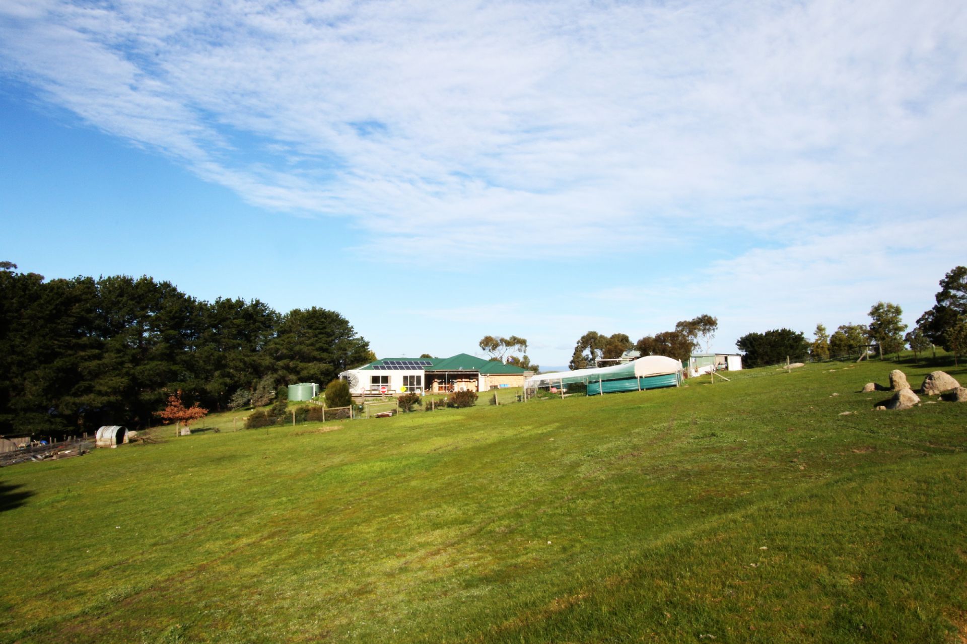 Peace And Privacy On Five Acre's