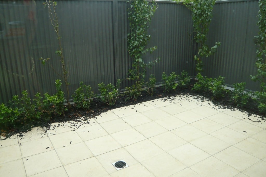 4 Essery Street Norwood 5067