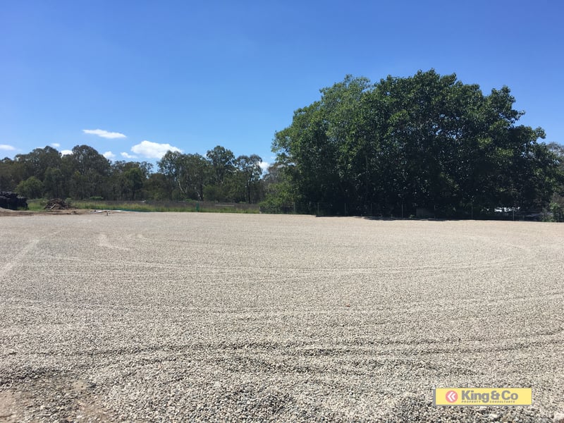 BLANK CANVASS - RIGHT FOR THE PICKING!