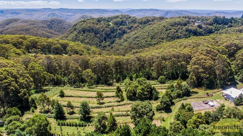 14-34 Rainbow Ravine Road, Mount Tomah - Thumbnail 2