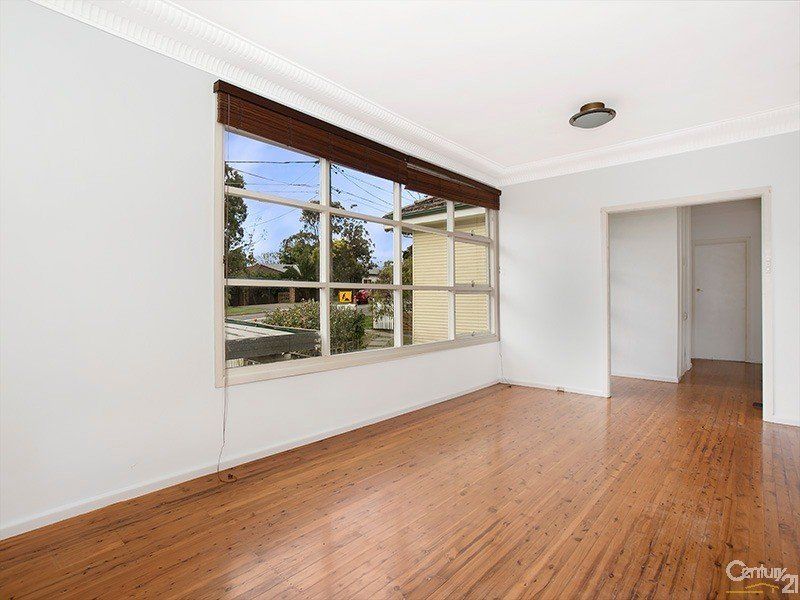 3 Carvers Road, OYSTER BAY, Oyster Bay - Thumbnail 6