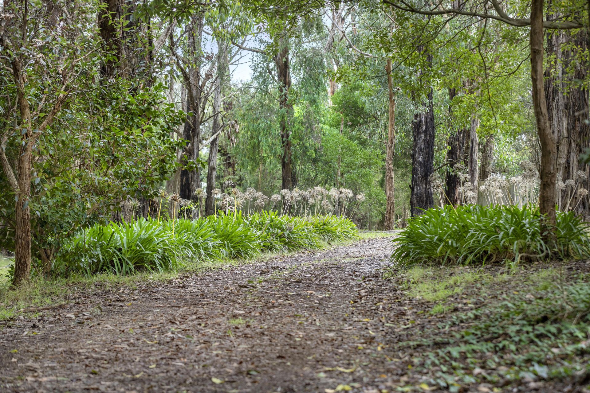 Kay & Burton 63 Red Hill Road, Red Hill South