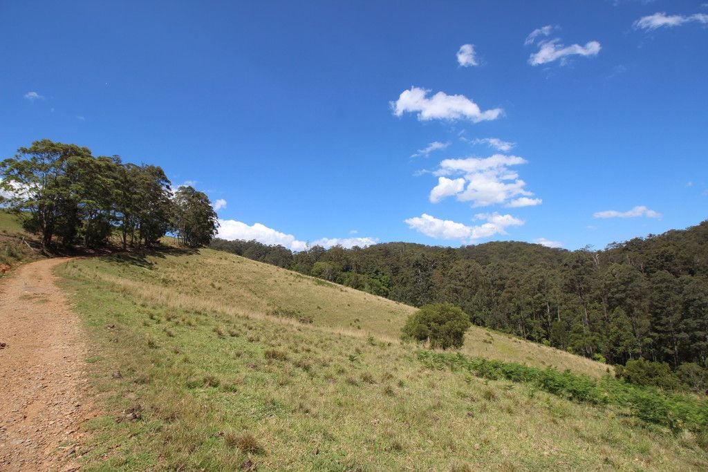 , BIRDWOOD NSW 2446