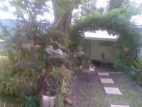 11 Boughens Road TANAWHA QLD, Tanawha - Thumbnail 8
