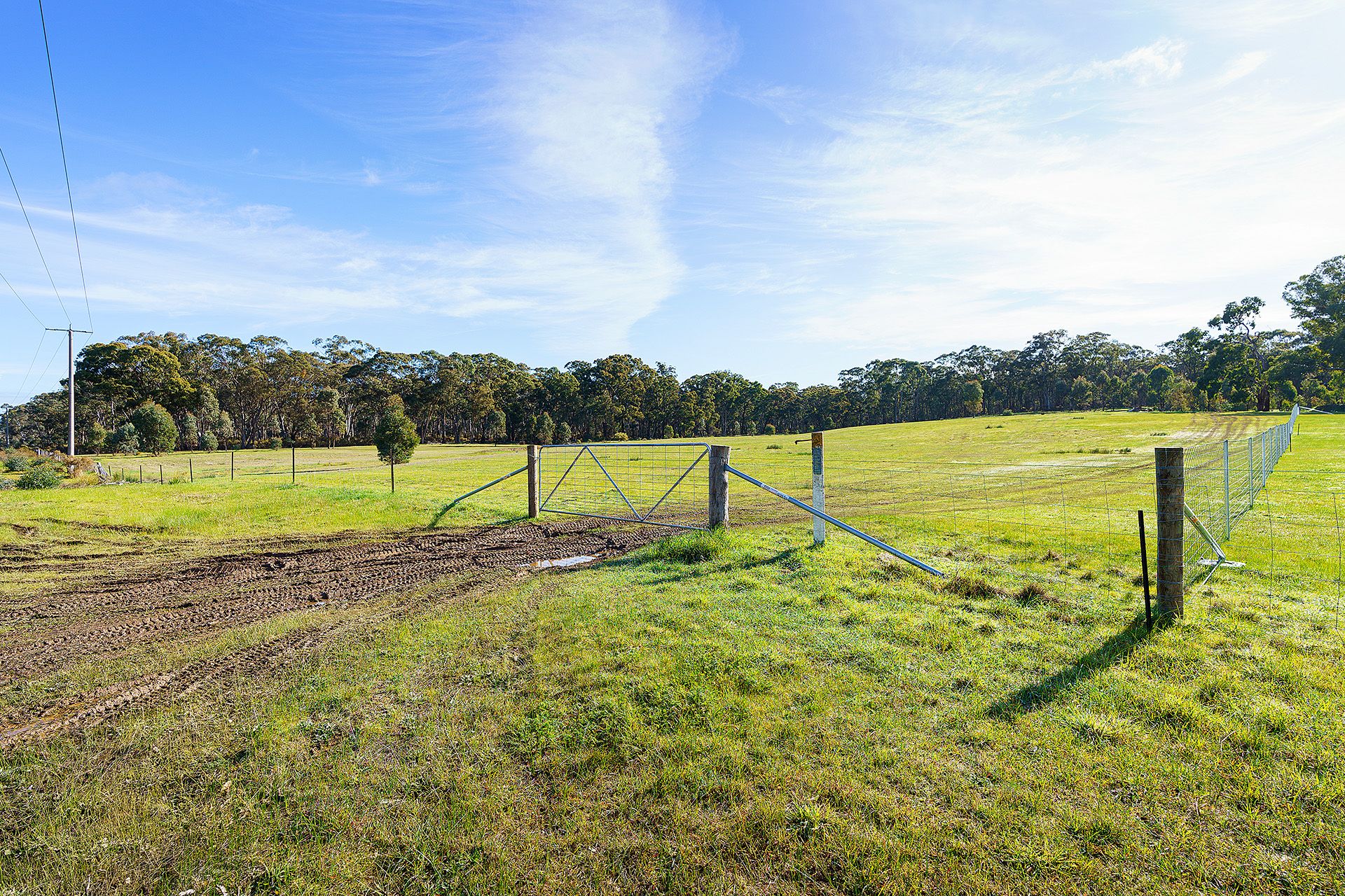 5 Adams Road, Harcourt - Thumbnail 5