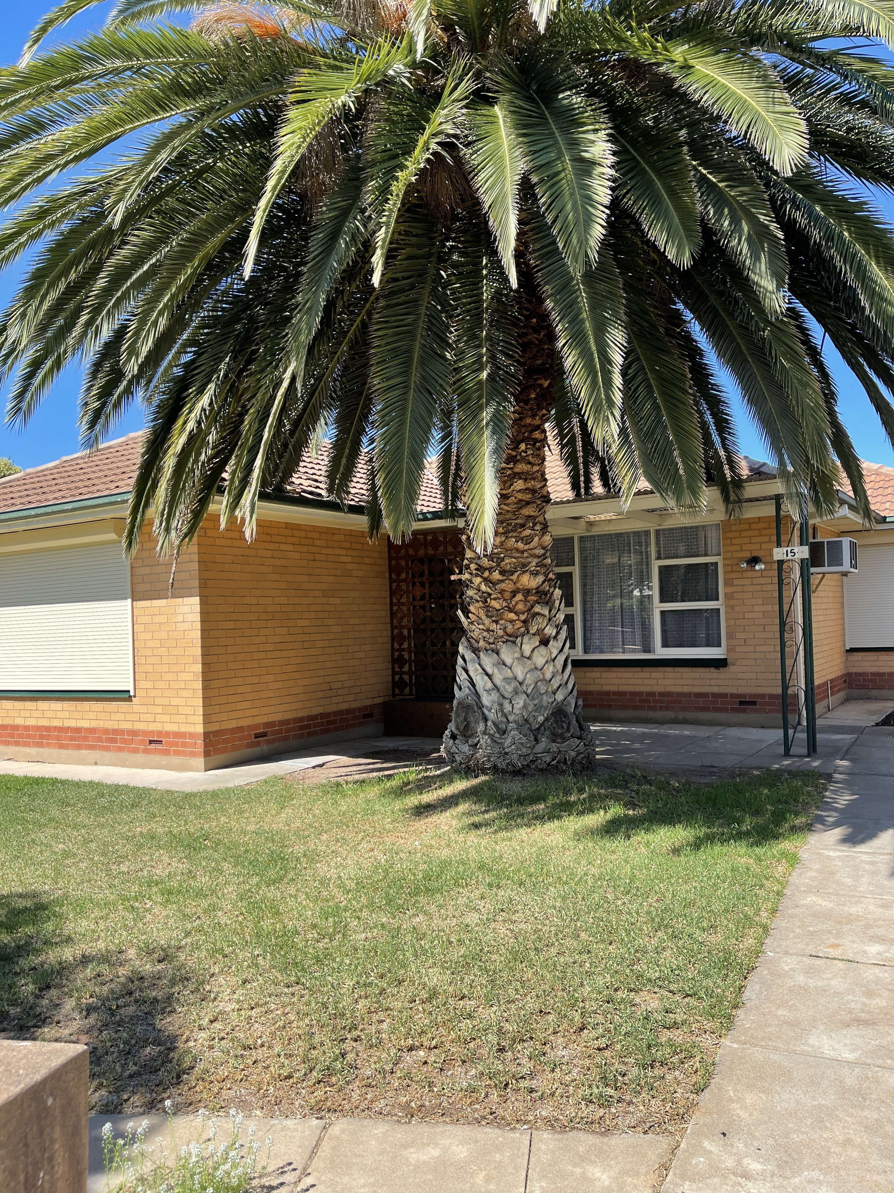 15 Brand Avenue Allenby Gardens 5009