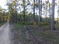 695 Beverleys Road, Cobbannah - Image 1