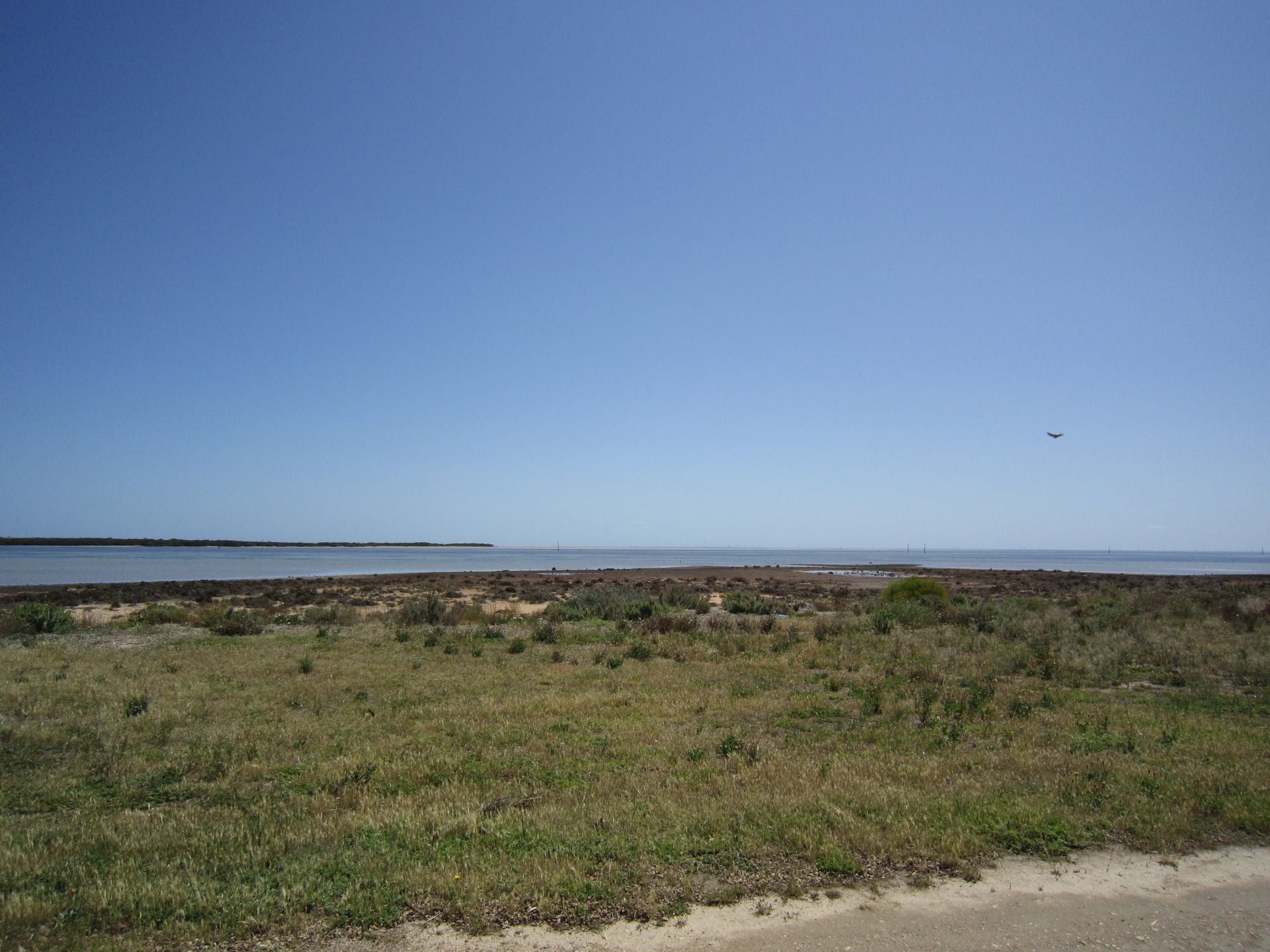 135 John Lewis Drive Port Broughton SA, Port Broughton - Thumbnail 7