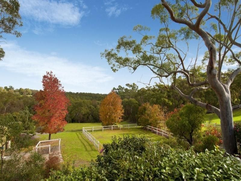 1 Beard Place GLENORIE NSW, Glenorie - Thumbnail 5