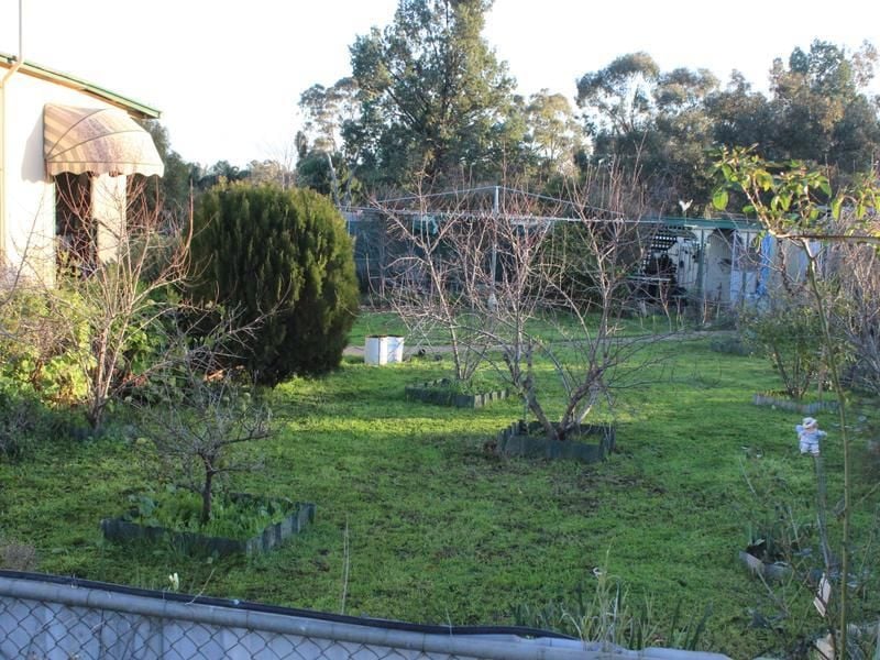 23 Cassiterite Street, ARDLETHAN QPL Rural