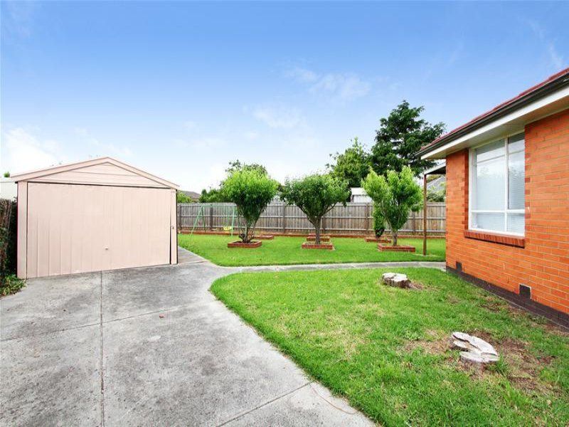 Lovely light filled property with large backyard!