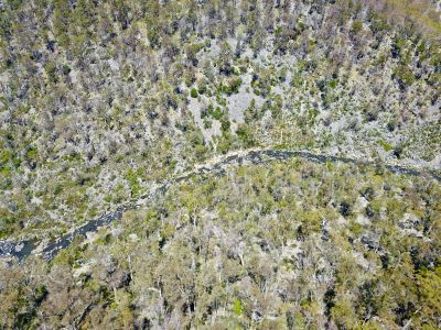 Lot 1 Little Den Road, Millers Bluff, Millers Bluff - Thumbnail 5