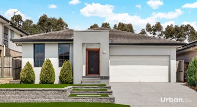 Colebee, 51 Coronato Parade