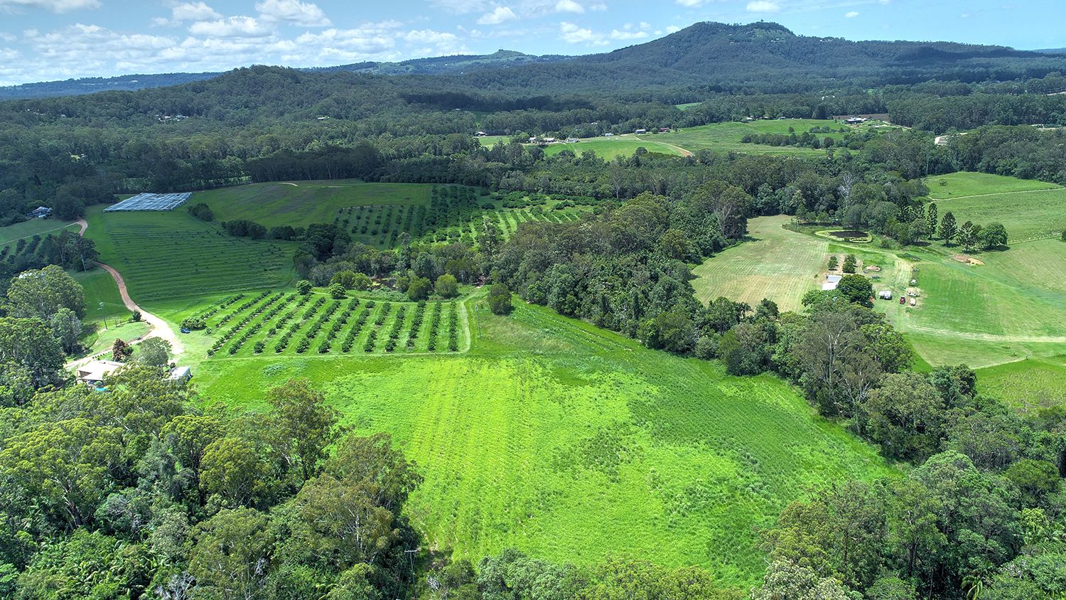 Real Estate For Sale 120 Stirling Road Beerwah , QLD