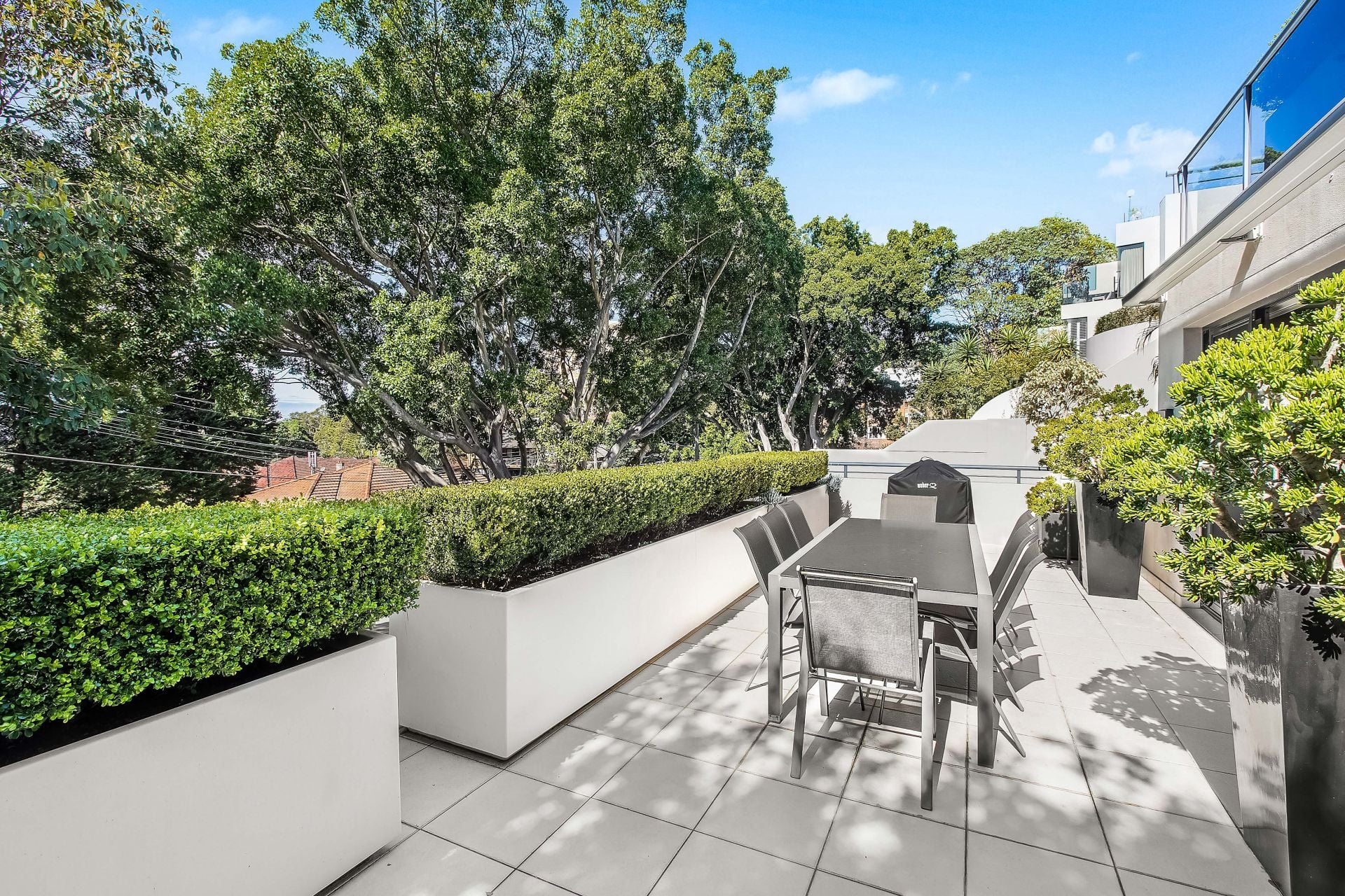 1/5 Banksia Road, Bellevue Hill, Bellevue Hill - Thumbnail 2