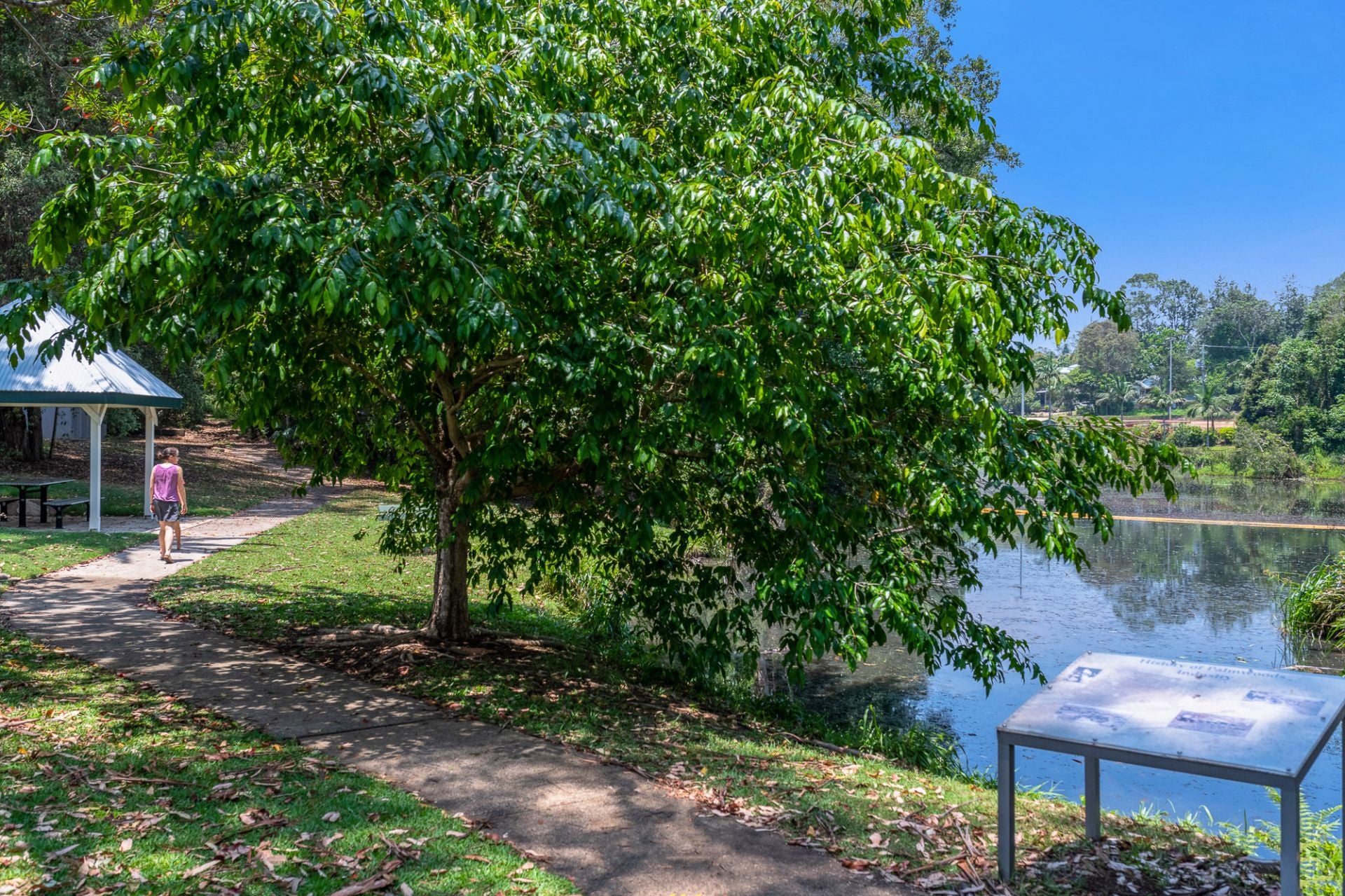 14/31 Abbotts Road Palmwoods QLD, Palmwoods - Thumbnail 8