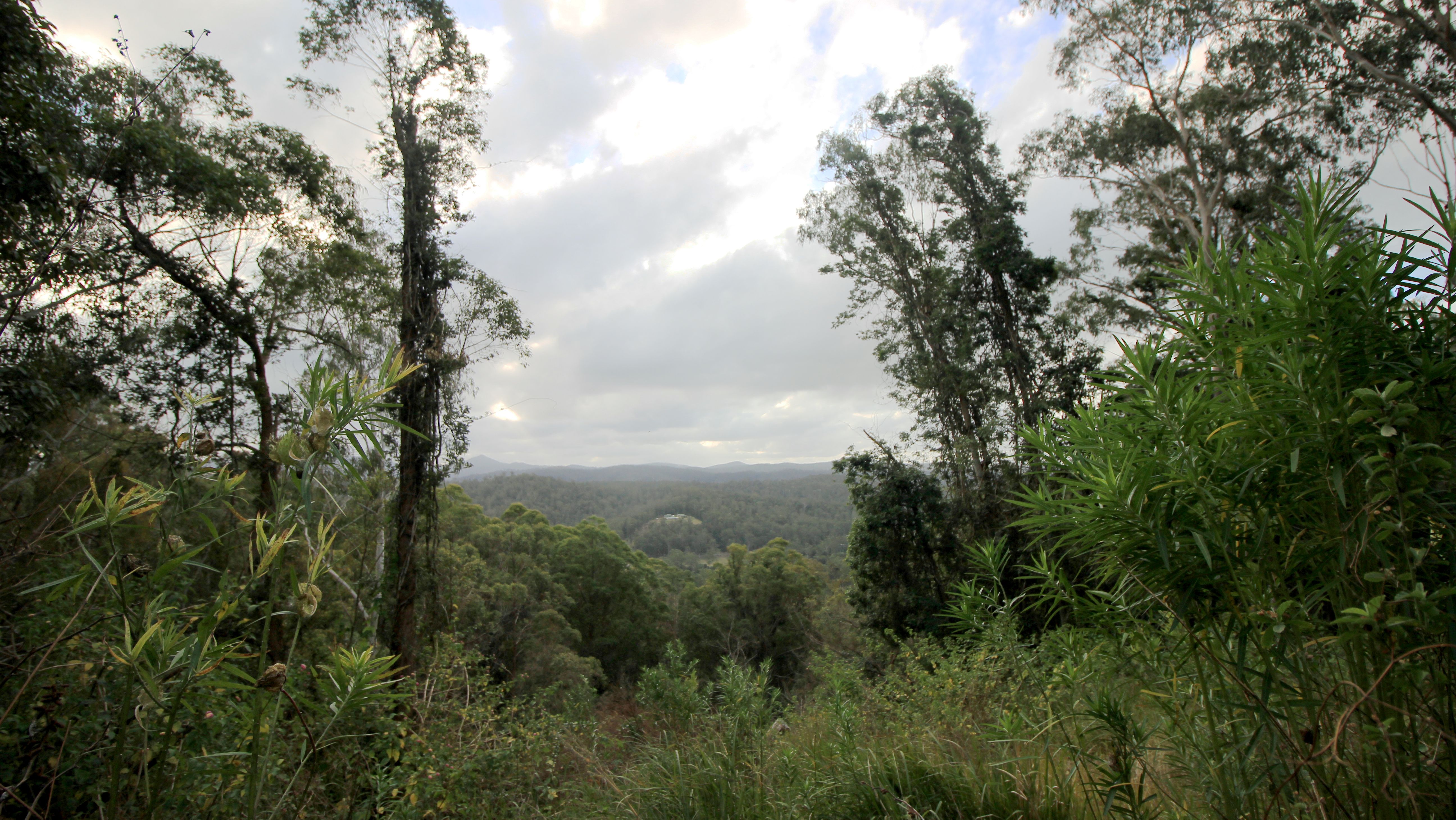 Lot 178 Lorne Rd, Batar Creek via, LORNE NSW 2439