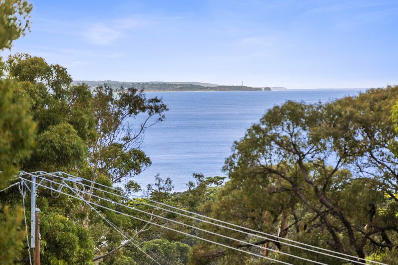 55 Polwarth Road, Lorne, VIC, Lorne - Thumbnail 7