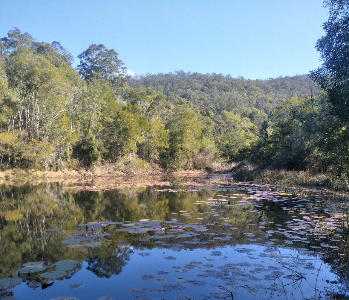 25 Middle Valley Rd, MARLO MERRICAN NSW 2441