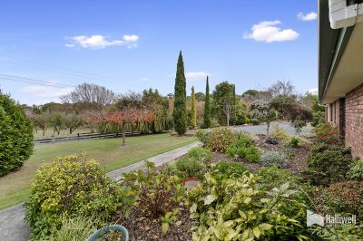 10 Sunhaven Drive, Port Sorell, Port Sorell - Thumbnail 4