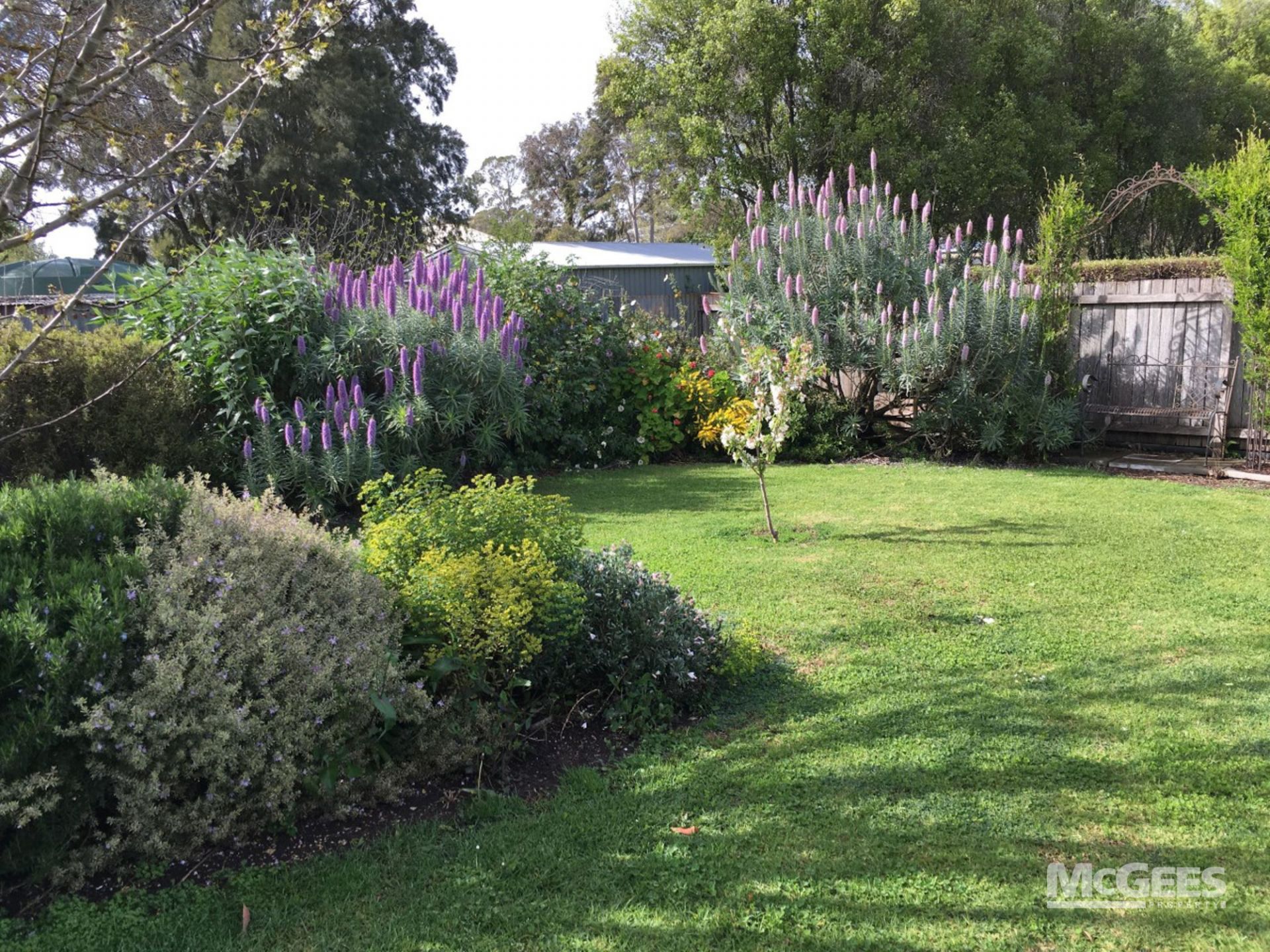 126 Church Street, Penola McGees Property Adelaide