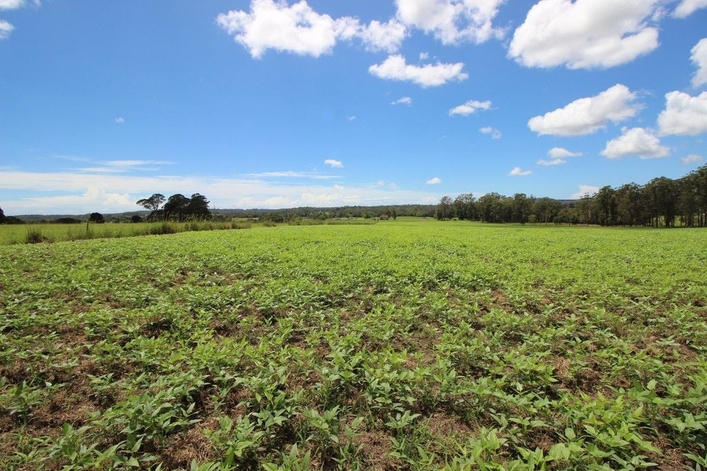 , WAUCHOPE NSW 2446