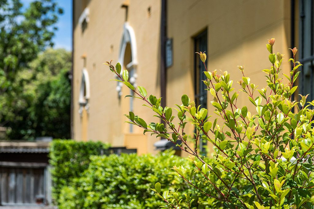 Sold - Quiet, Urban Retreat with Private Garden