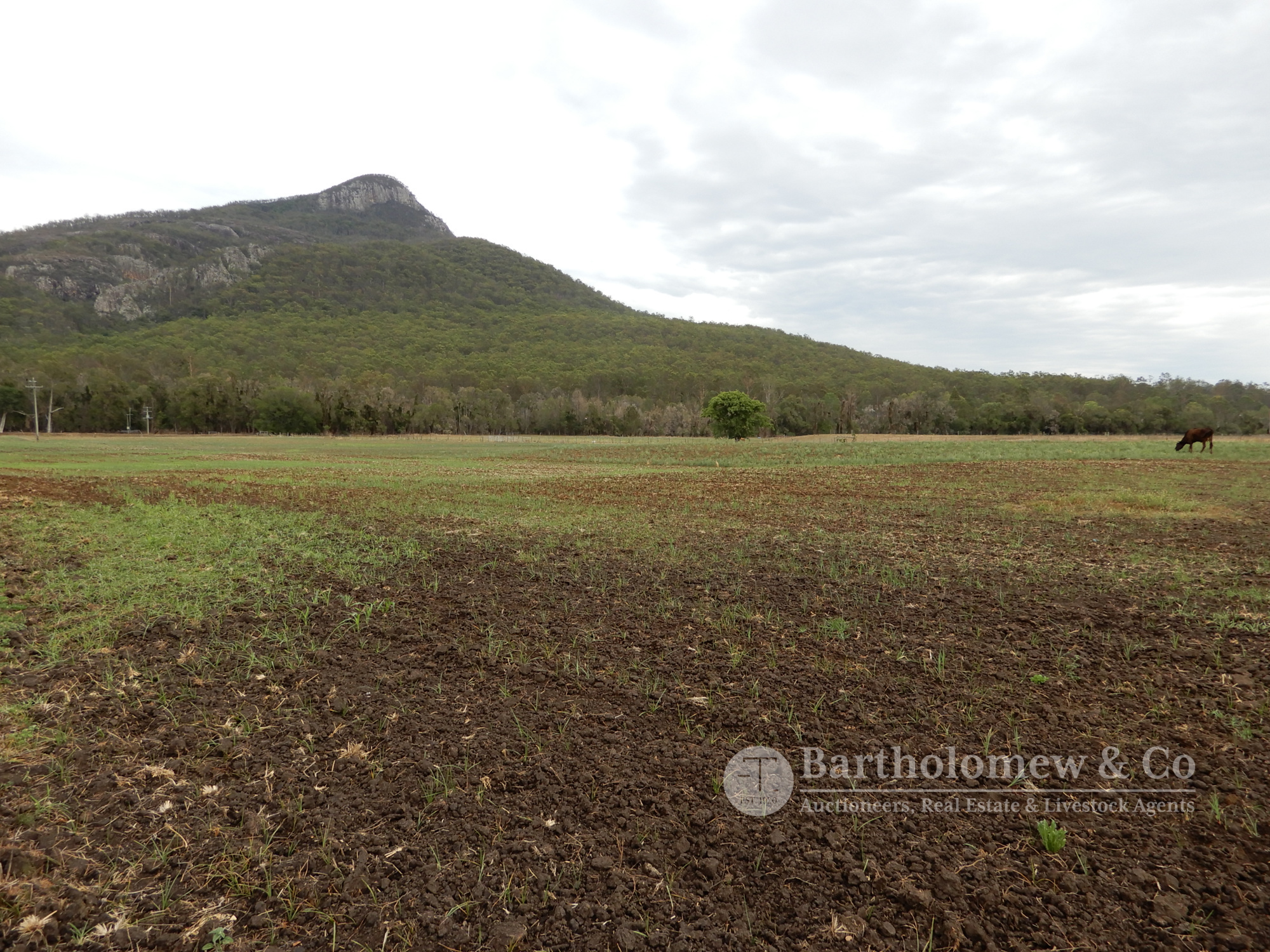 Real Estate For Sale 78 Croftby Road Moogerah , QLD