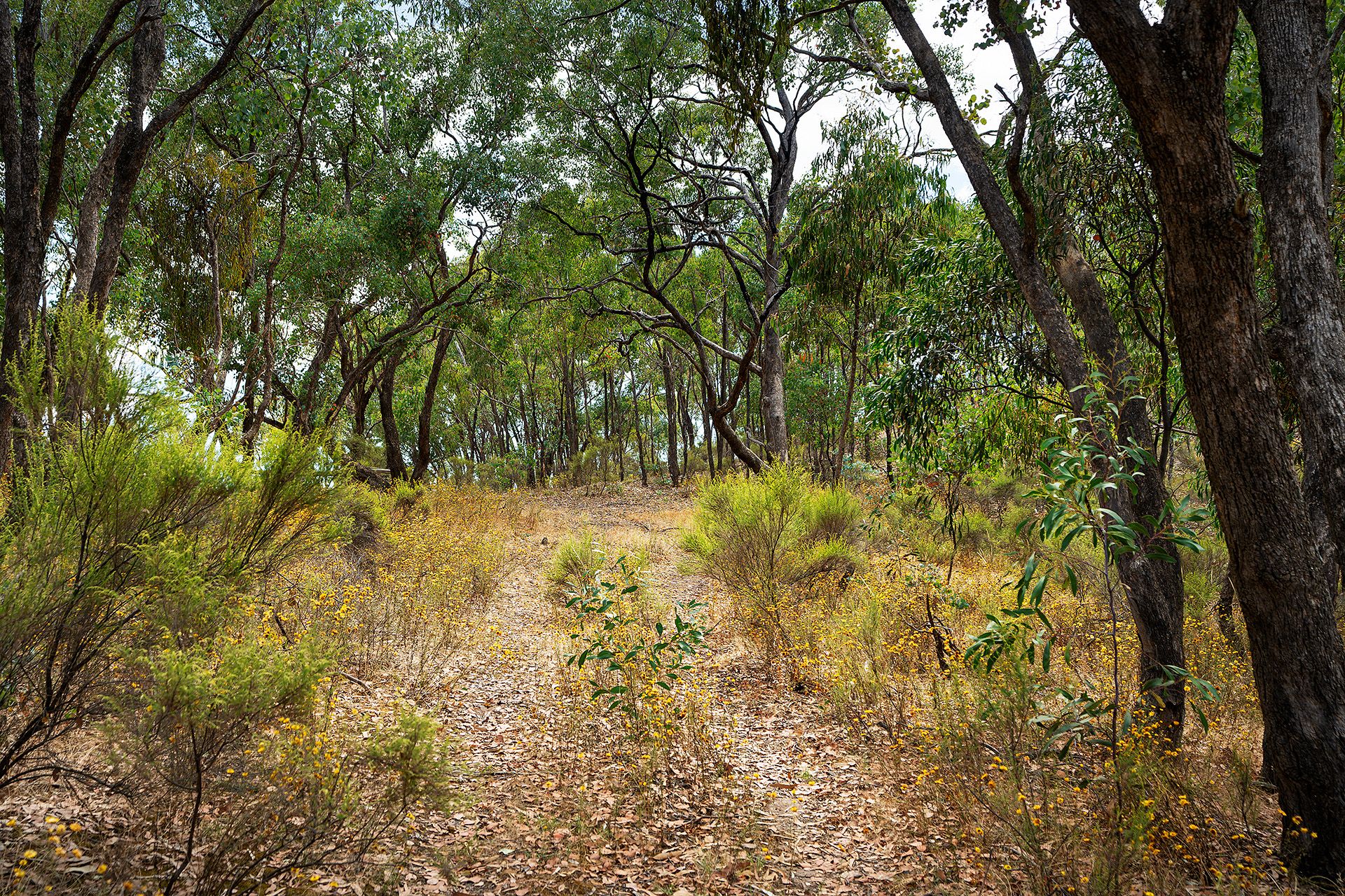 87 Congdon Road, Barkers Creek - Thumbnail 6