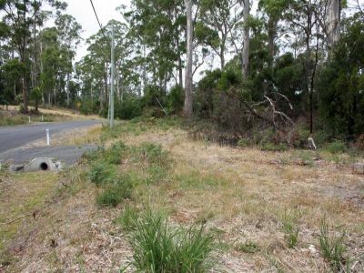 1 Bush Haven Drive, PORT SORELL, Port Sorell - Thumbnail 3