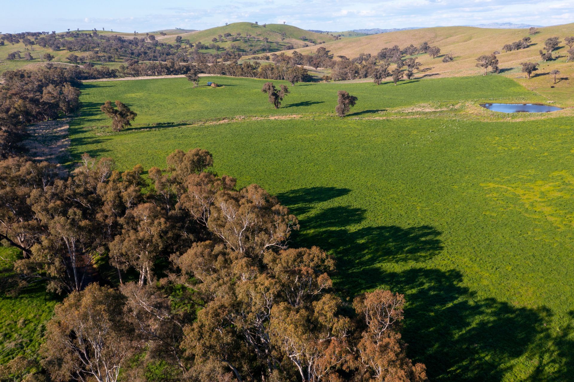 'Prospect' Sheridan Park Road, Boorowa NSW, Boorowa - Thumbnail 3