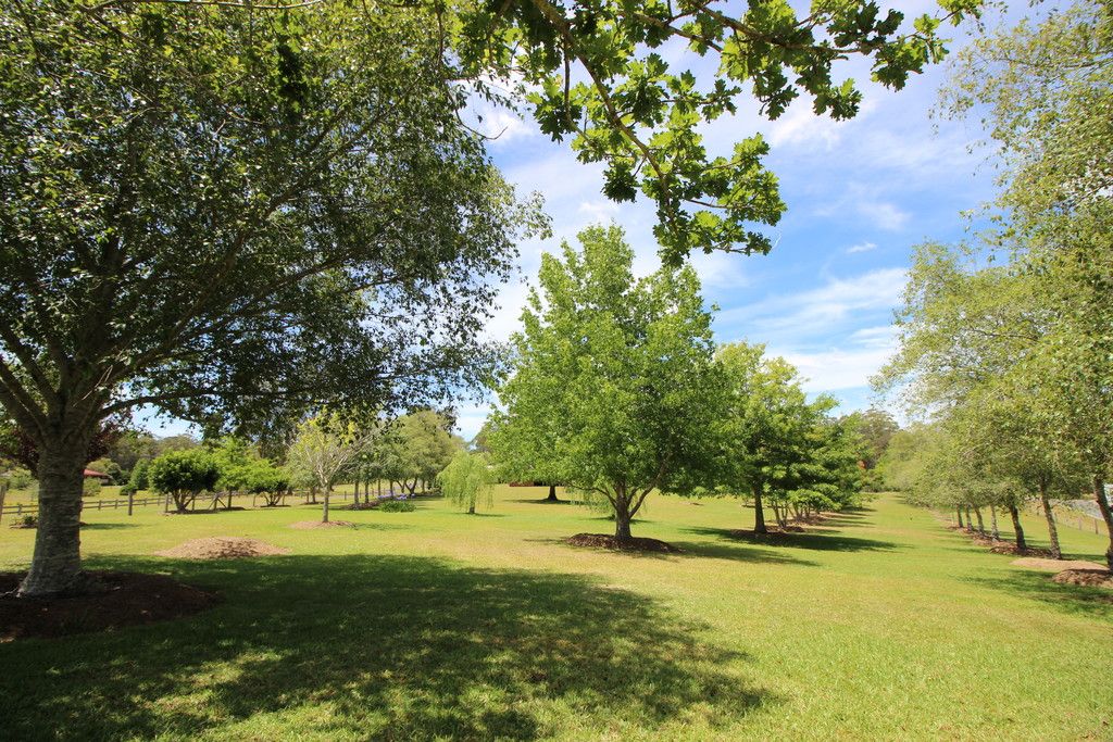 24 Kingsford Road, LOGANS CROSSING NSW 2439