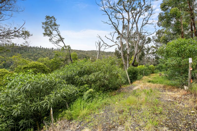 31 Riverside Drive, Wye River, VIC, Wye River - Thumbnail 4