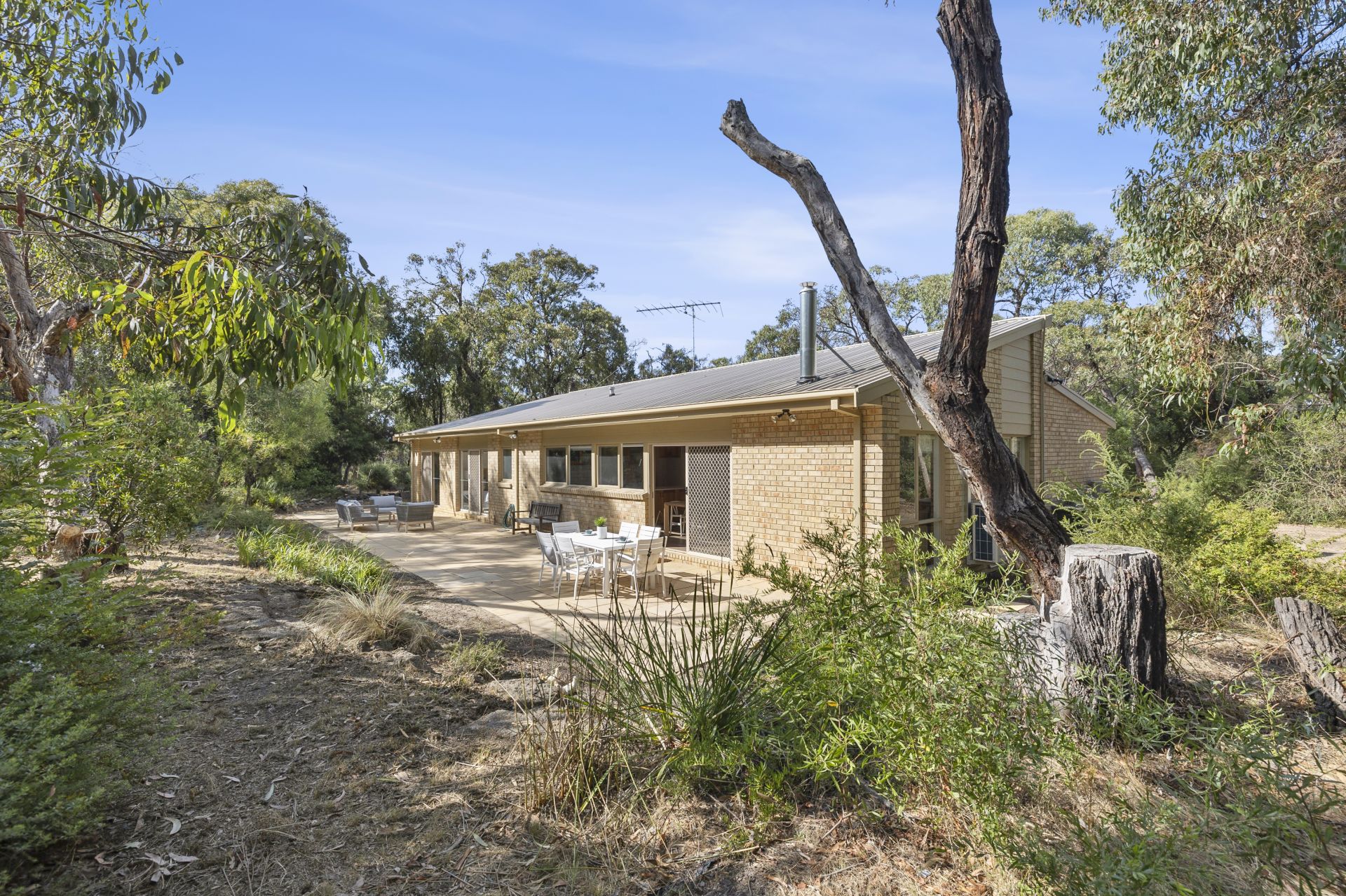 59 Boundary Road, Aireys Inlet - Thumbnail 3