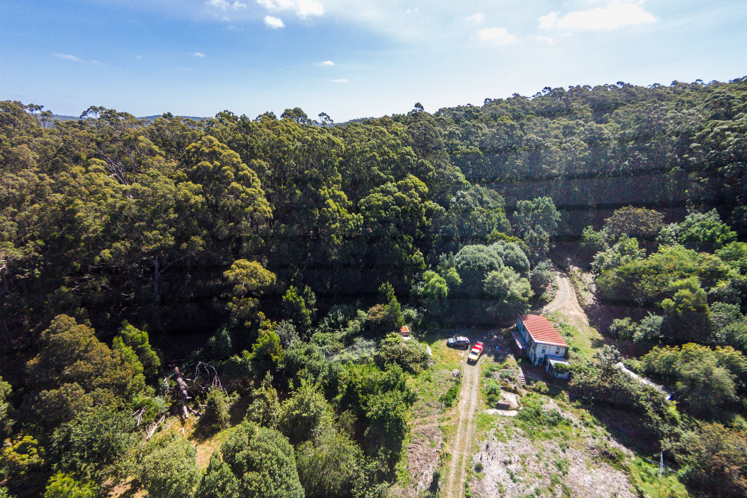 290 Kennett Road, Kennett River, VIC, Kennett River - Thumbnail 5
