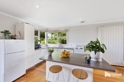3
 
 
 
  
 
 
 1
 
 
 
  
 
 
 1
 
 
 
 
 
 
 
 7 Pindari Court, Miandetta TAS 7310, Miandetta - Thumbnail 4
