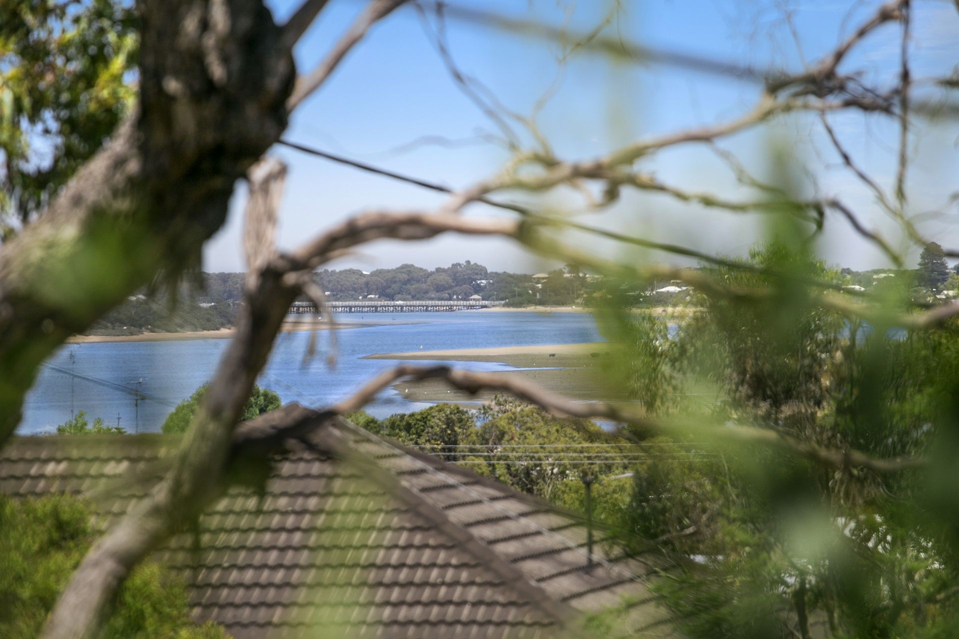11-13 Asbury St Ocean Grove VIC, Ocean Grove - Thumbnail 4