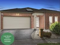 6 Hackney Circuit, Clyde North VIC, Clyde North - Image 1
