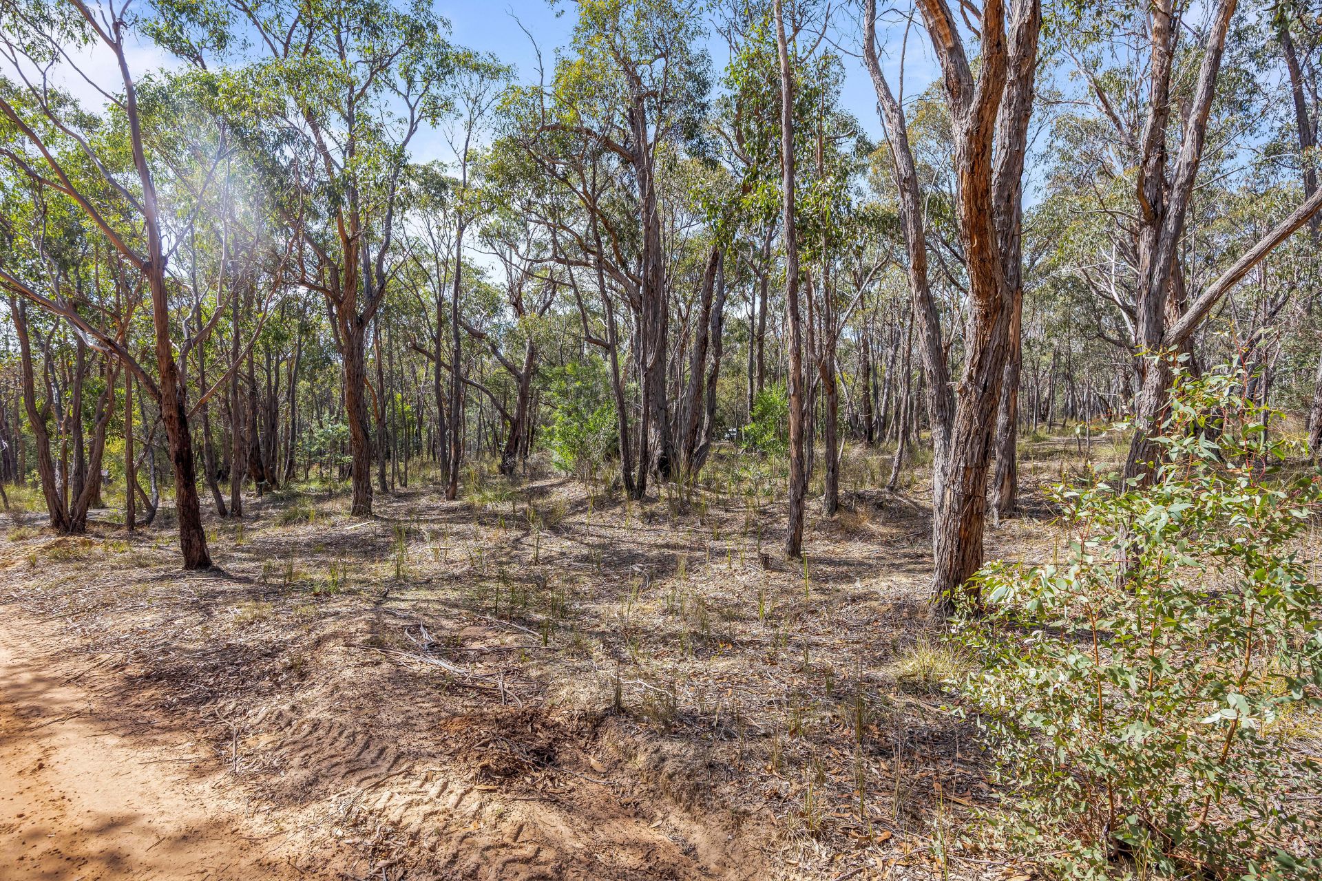 Lot 10, Rozenstein Road - Thumbnail 8