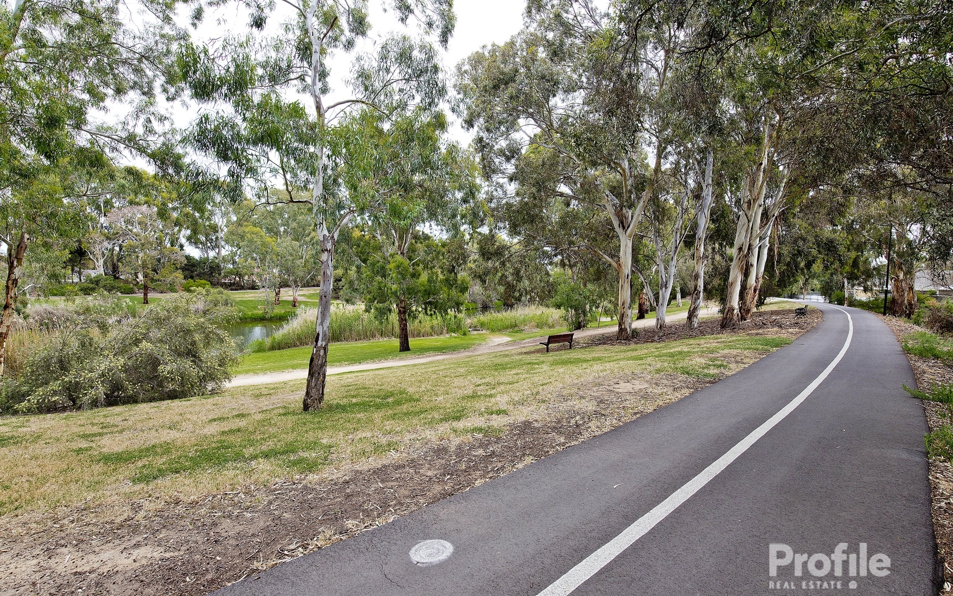 4 Arcoona Avenue Lockleys 5032