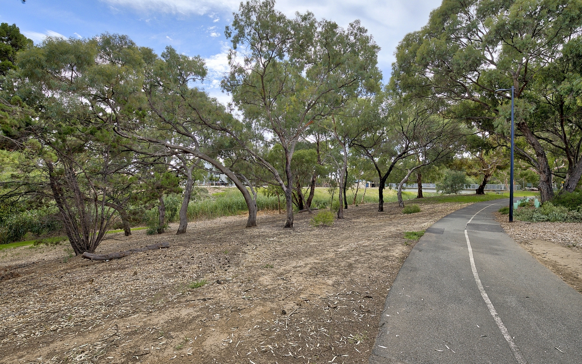 16  Diosma Crescent Lockleys 5032