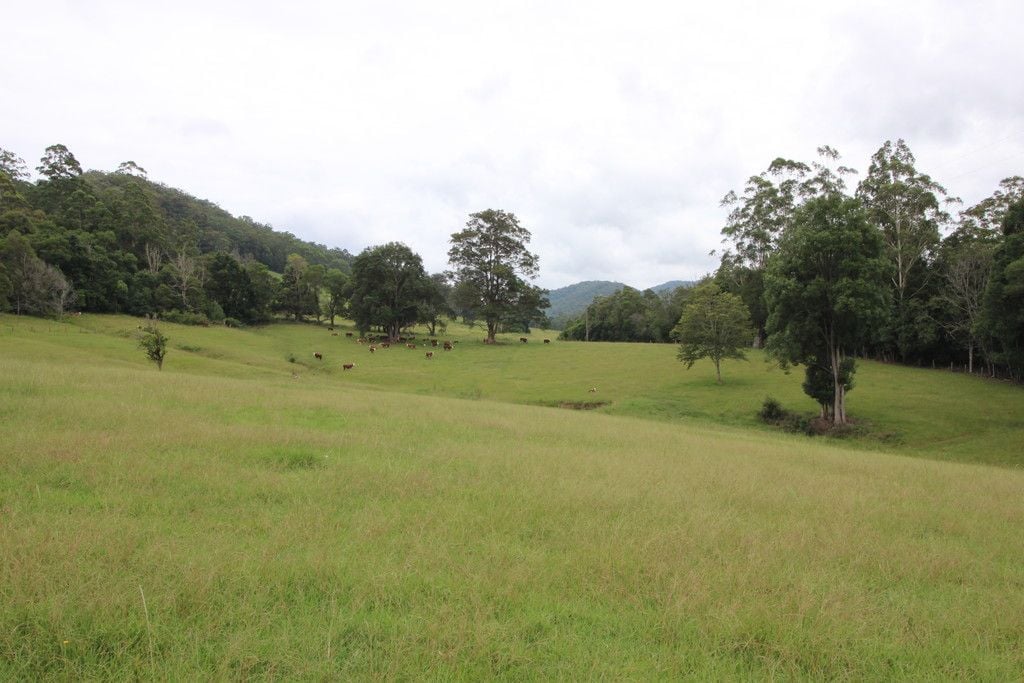 Lot 101 Pappinbarra Rd, PAPPINBARRA NSW 2446