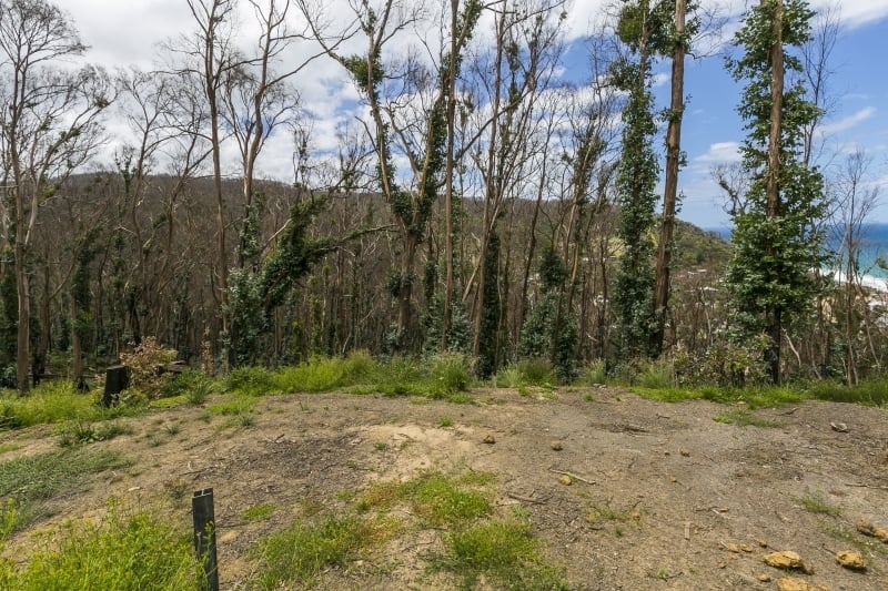 3 Dunoon Road, Wye River, VIC, Wye River - Thumbnail 4