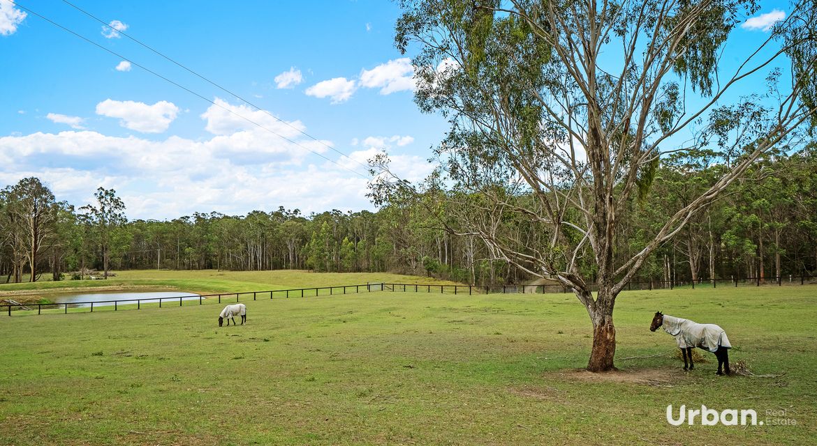 Ellalong 441 Wallaby Gully Road