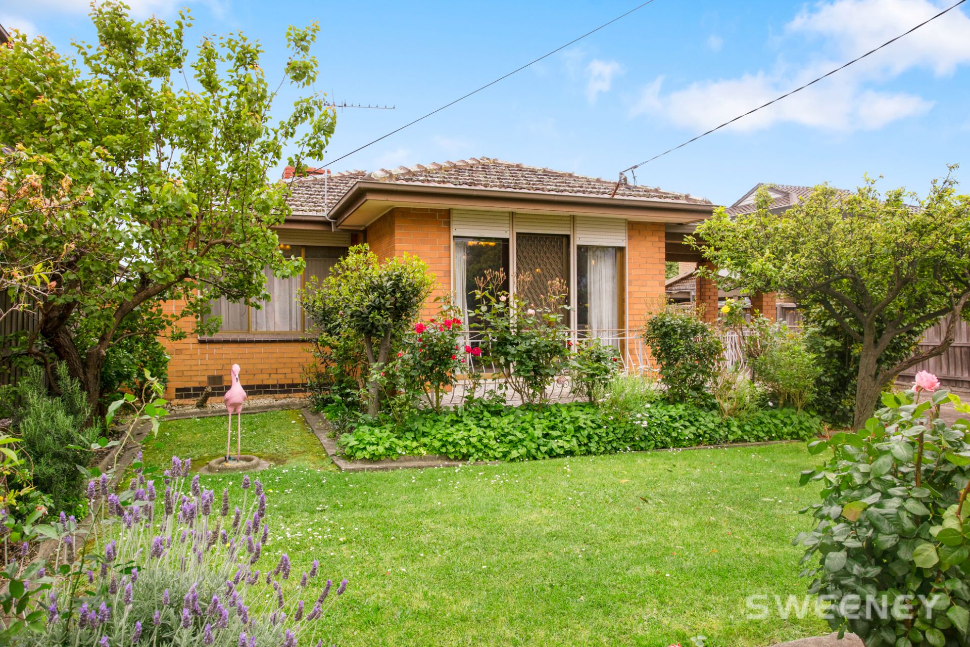 20 Raeburn Street, Pascoe Vale - Thumbnail 6
