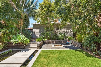 297 Darley Road, Randwick