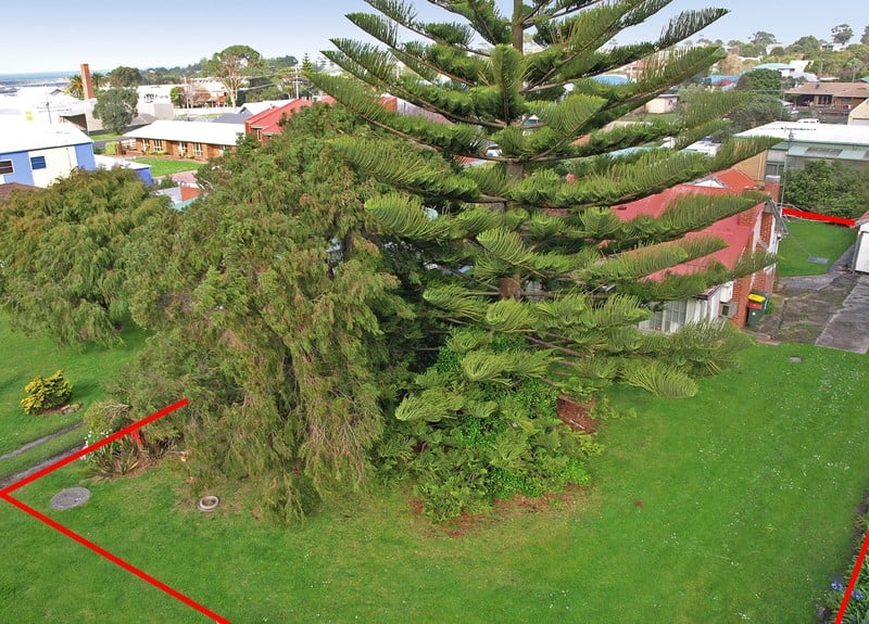5 Martin Street, Apollo Bay, VIC, Apollo Bay - Thumbnail 5