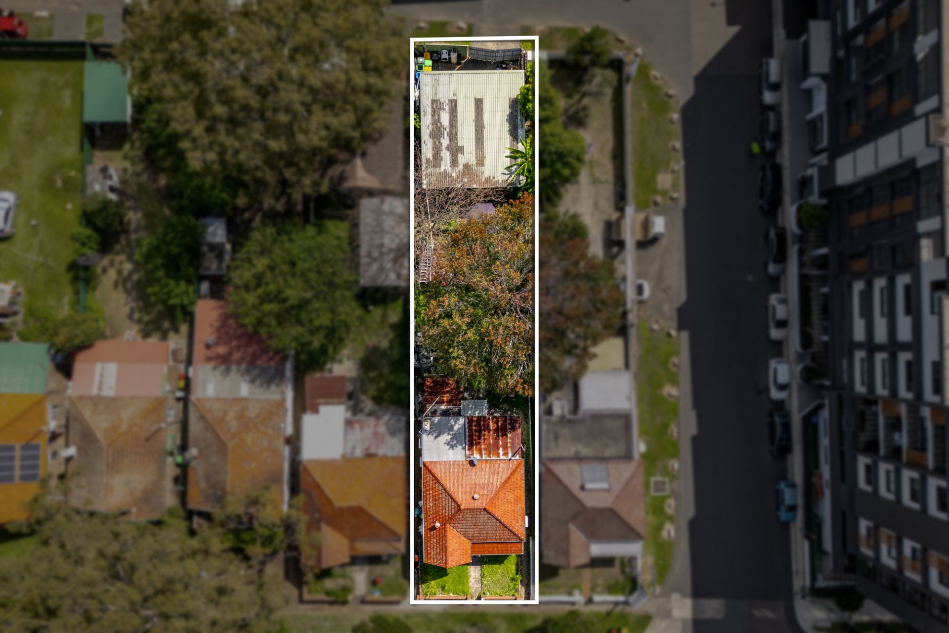 13 Smallwood Avenue, Homebush, Homebush - Thumbnail 3