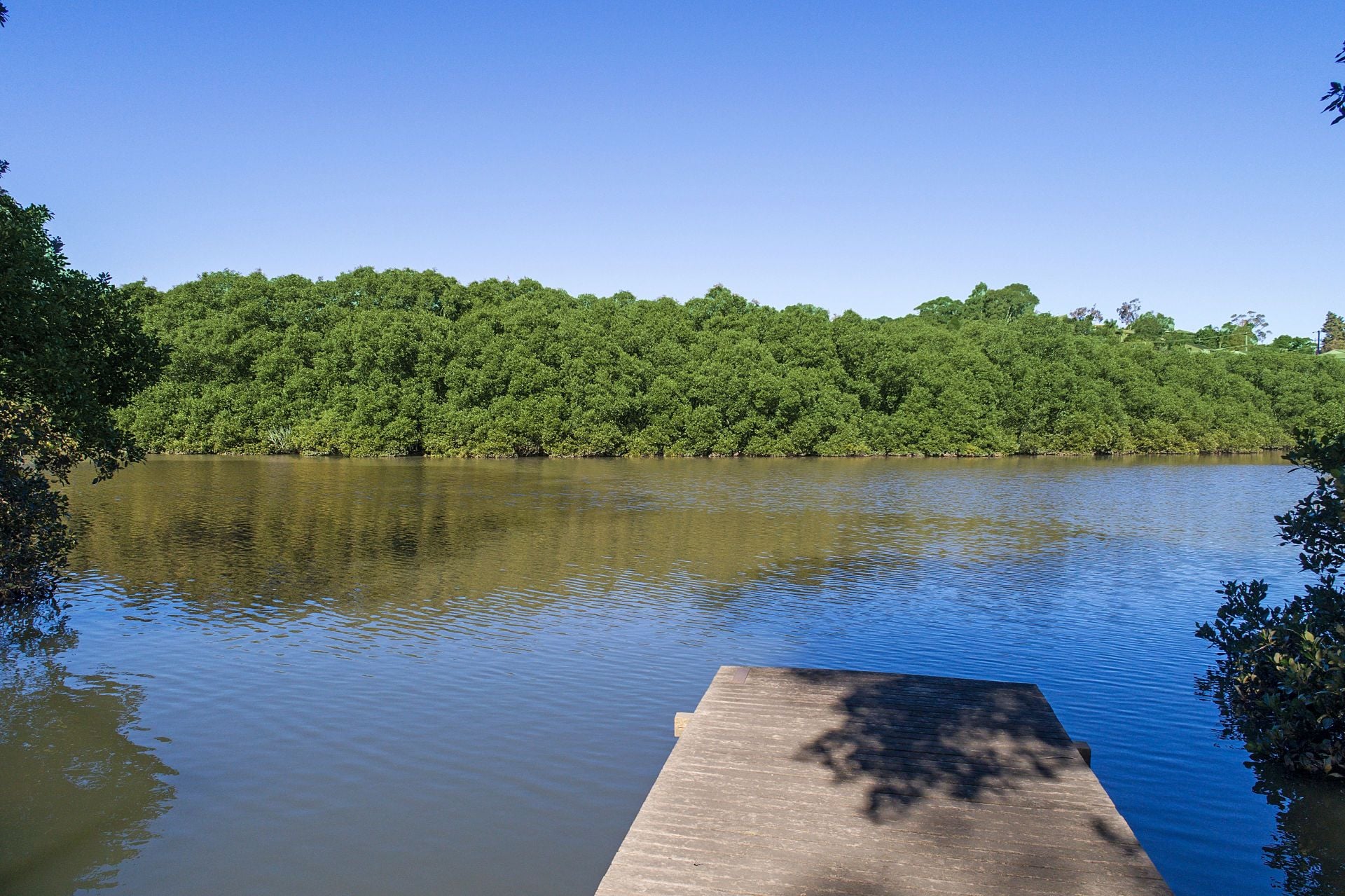 94 Oyster Bay Road, Oyster Bay, Oyster Bay - Thumbnail 5