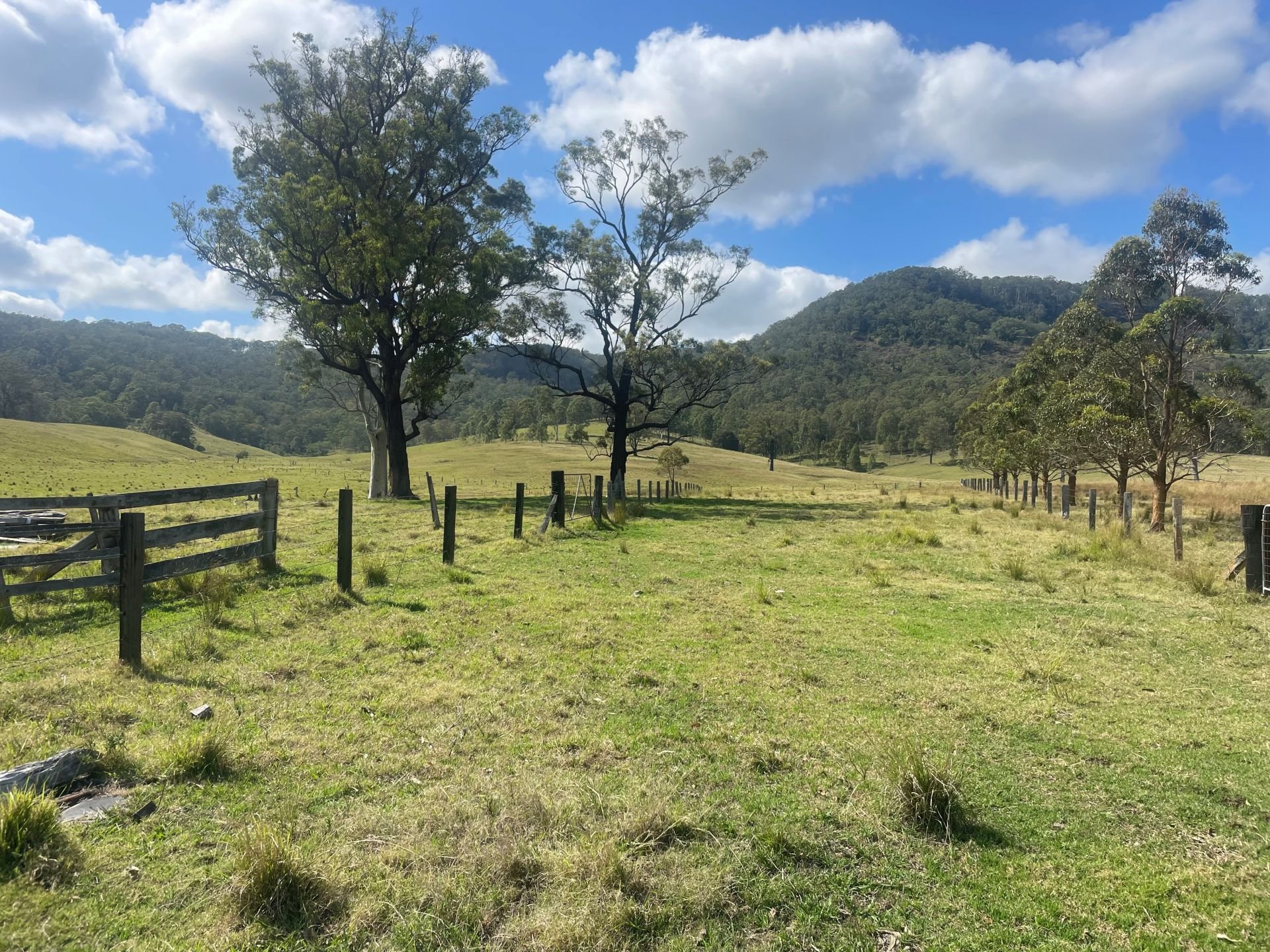 894 Dungog Road, Dungog Dillon and Sons Real Estate